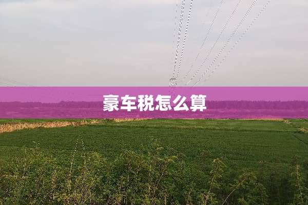 豪车税怎么算
