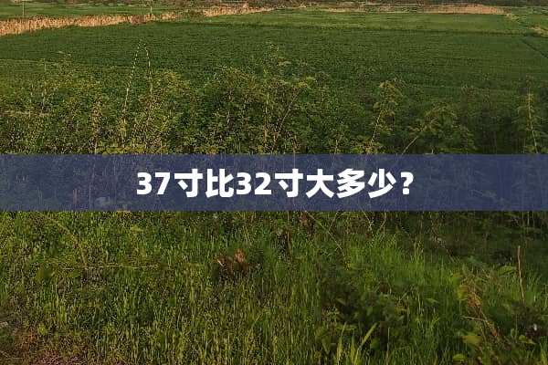 37寸比32寸大多少？