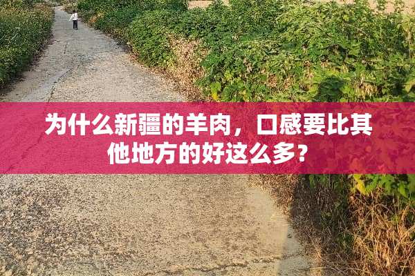 为什么新疆的羊肉，口感要比其他地方的好这么多？