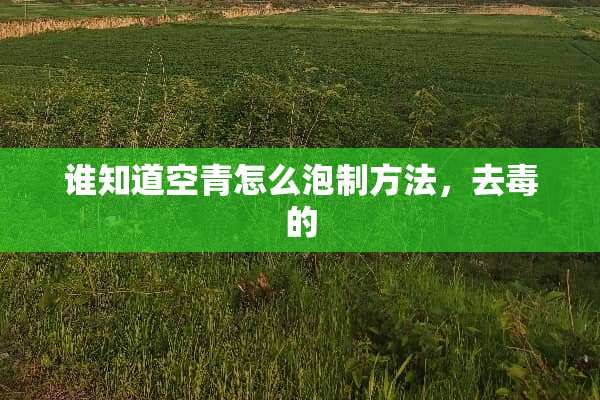 谁知道空青怎么泡制方法，去毒的