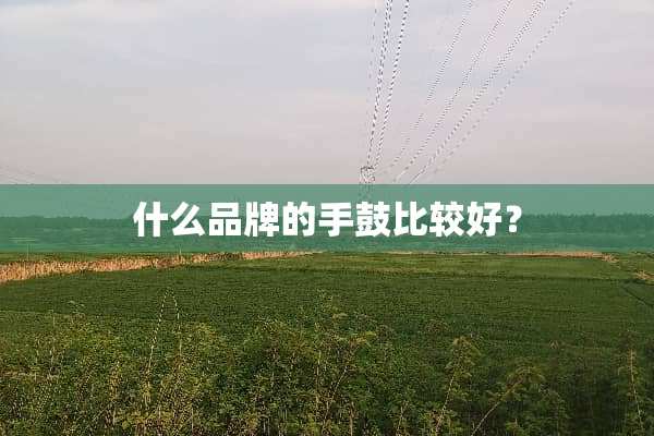 什么品牌的手鼓比较好？