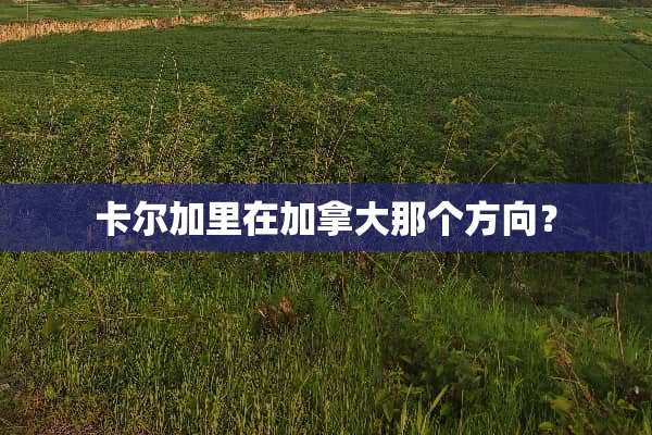 卡尔加里在加拿大那个方向？