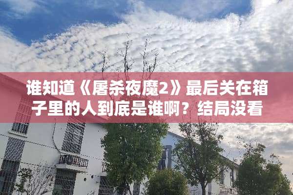 谁知道《**夜魔2》最后关在箱子里的人到底是谁啊？结局没看明白，谁给我讲讲啊？
