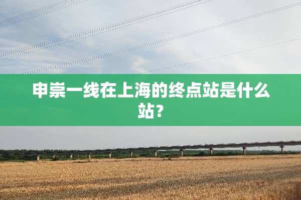 申崇一线在上海的终点站是什么站？