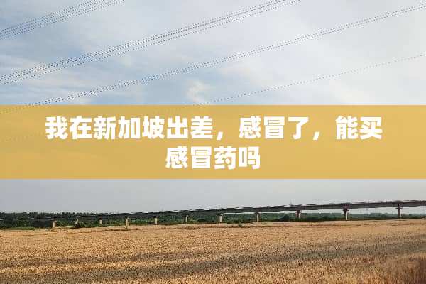 我在新加坡出差，感冒了，能买感冒药吗