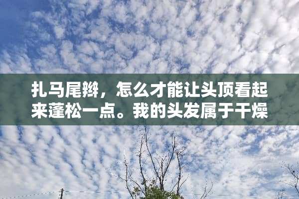 扎马尾辫，怎么才能让头顶看起来蓬松一点。我的头发属于干燥型的？