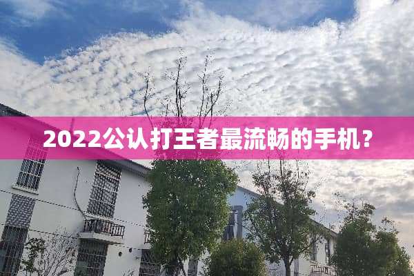 2022公认打王者最流畅的手机？