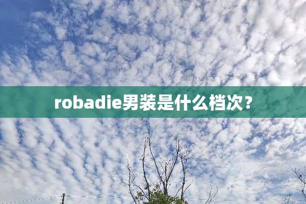 robadie男装是什么档次？