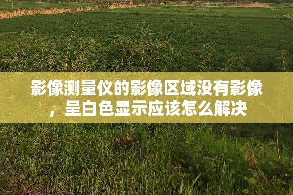影像测量仪的影像区域没有影像，呈白色显示应该怎么解决