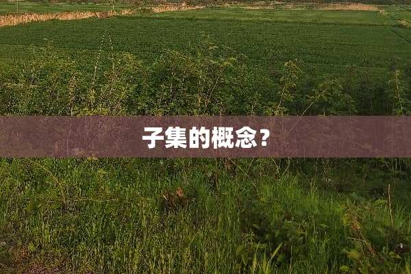 子集的概念？