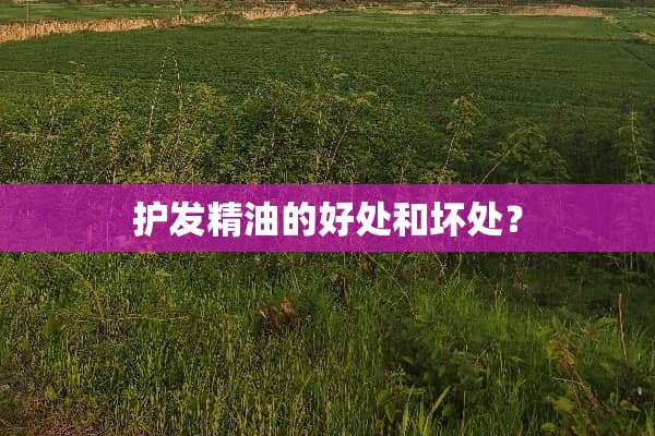 护发精油的好处和坏处？
