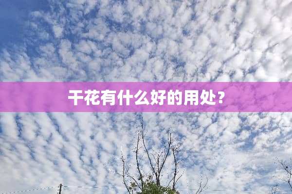 干花有什么好的用处？