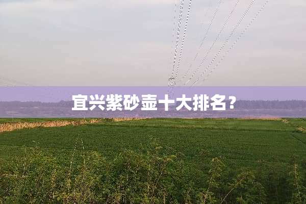 宜兴紫砂壶十大排名？