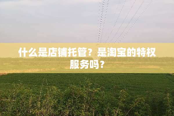 什么是店铺托管？是淘宝的特权服务吗？