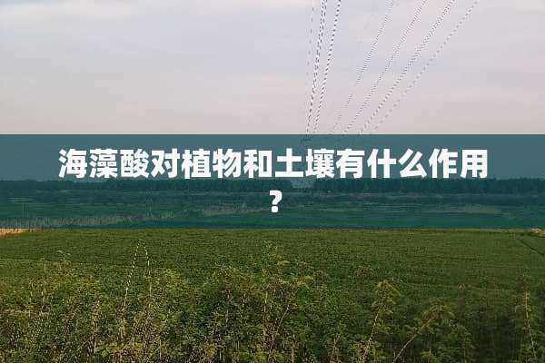 海藻酸对植物和土壤有什么作用？