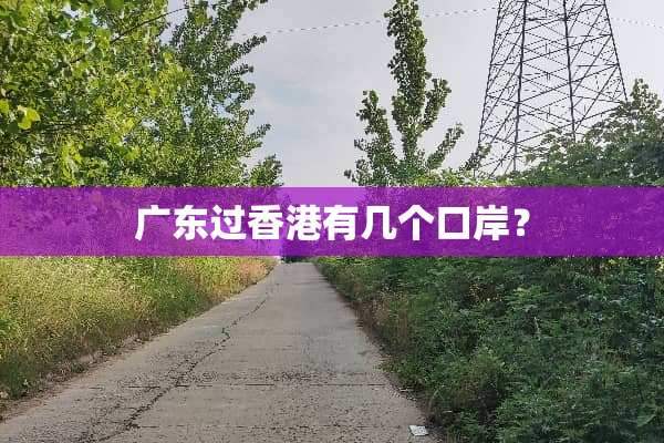 广东过香港有几个口岸？