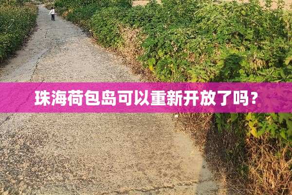 珠海荷包岛可以重新开放了吗？