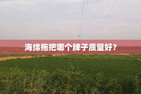 海绵拖把哪个牌子质量好？