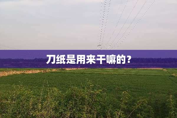 刀纸是用来干嘛的？