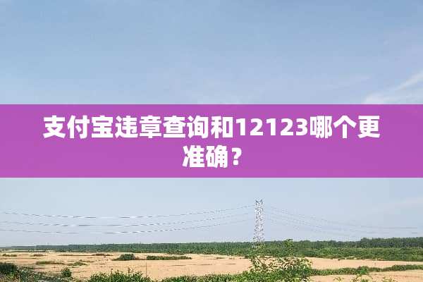 支付宝违章查询和12123哪个更准确？