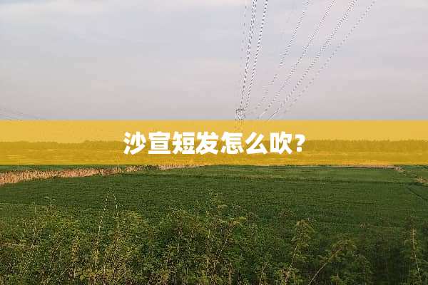 沙宣短发怎么吹？