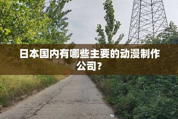 日本国内有哪些主要的动漫制作公司？