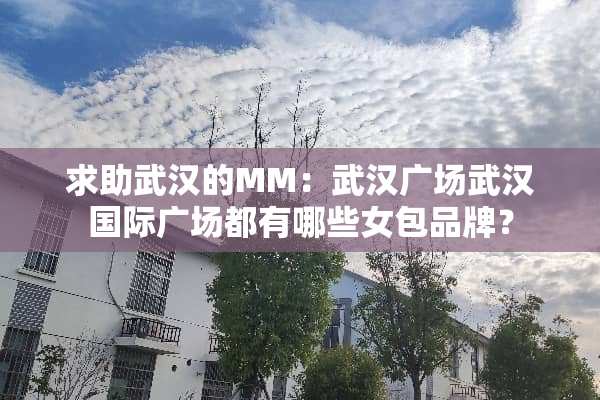 求助武汉的MM：武汉广场武汉国际广场都有哪些女包品牌？