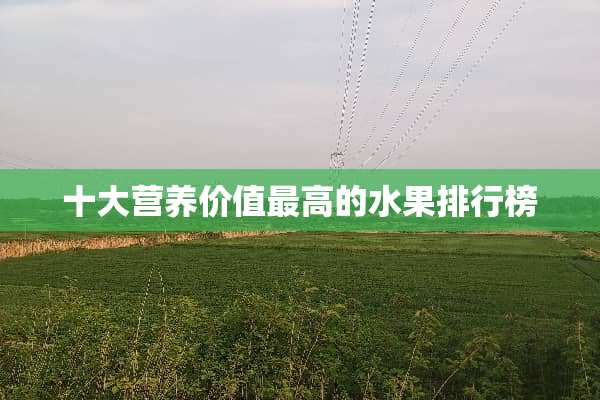 十大营养价值最高的水果排行榜