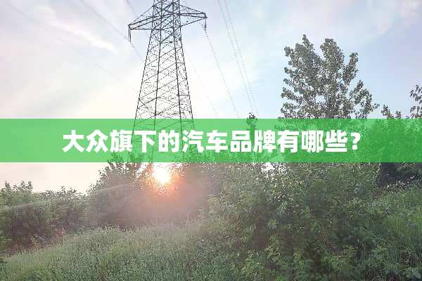 大众旗下的汽车品牌有哪些？