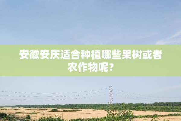 安徽安庆适合种植哪些果树或者农作物呢？