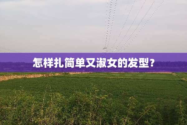 怎样扎简单又淑女的发型？