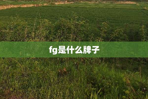 fg是什么牌子