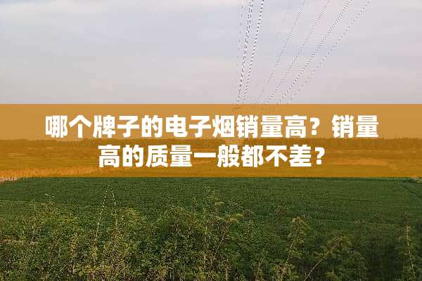 哪个牌子的电子烟销量高？销量高的质量一般都不差？