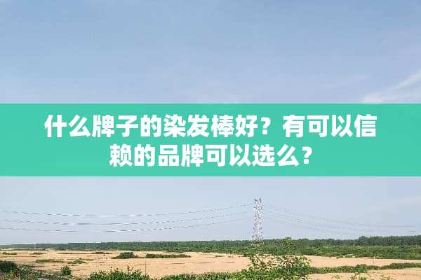 什么牌子的染发棒好？有可以信赖的品牌可以选么？