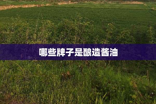哪些牌子是酿造酱油