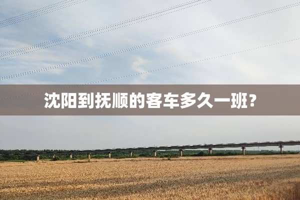 沈阳到抚顺的客车多久一班？