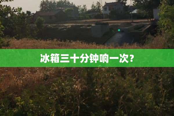 冰箱三十分钟响一次？