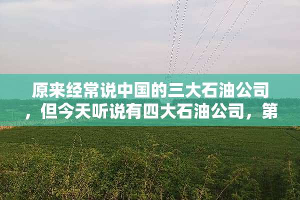 原来经常说中国的三大石油公司，但今天听说有四大石油公司，第四家是那一个？