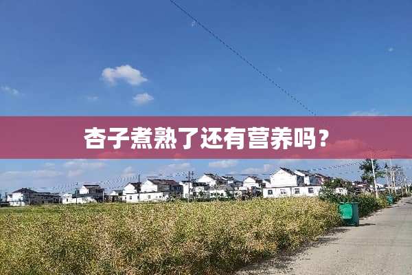 杏子煮熟了还有营养吗？