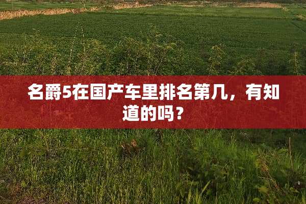 名爵5在国产车里排名第几，有知道的吗？