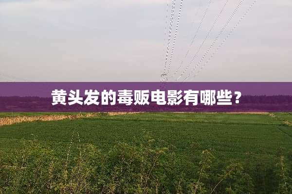 黄头发的毒贩电影有哪些？