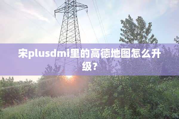 宋plusdmi里的高德地图怎么升级？
