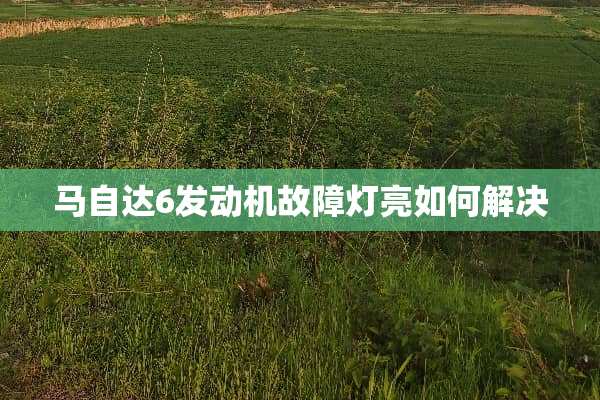***6发动机故障灯亮如何解决