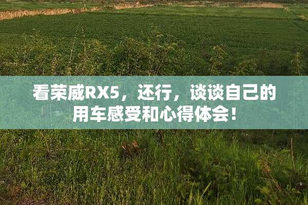 看荣威RX5，还行，谈谈自己的用车感受和心得体会！