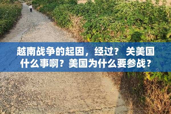 越南战争的起因，经过？ 关美国什么事啊？美国为什么要参战？