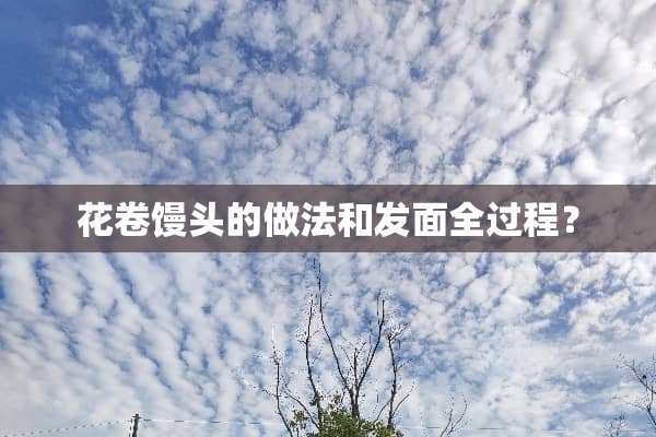 花卷馒头的做法和发面全过程？