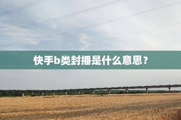 快手b类封播是什么意思？