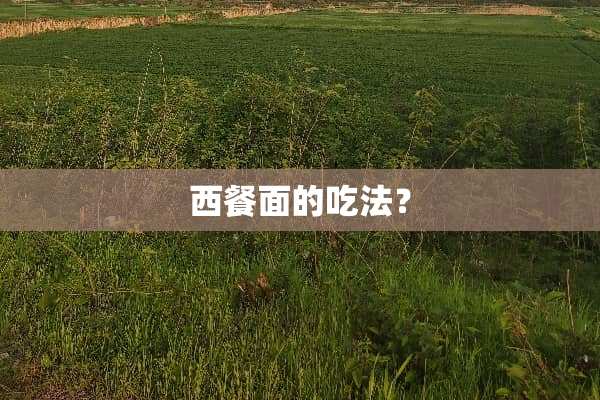 西餐面的吃法？