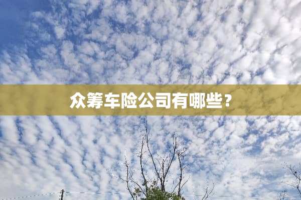众筹车险公司有哪些？