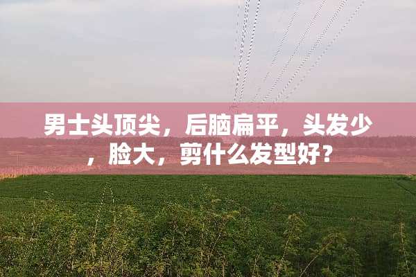 男士头顶尖，后脑扁平，头发少，脸大，剪什么发型好？